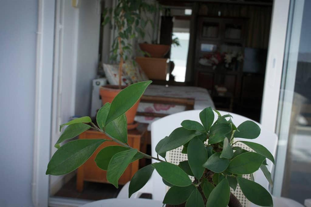 Stavros Amazing Apartment In The Centre Of Kos מראה חיצוני תמונה